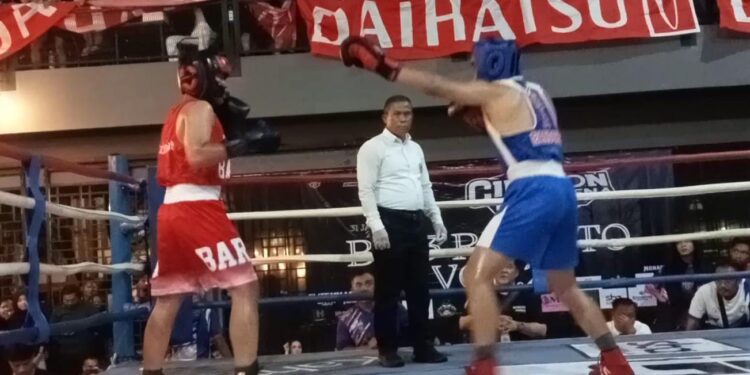 Cirebon kini berupaya mencari bibit bibit petinju profesional, salah satunya digelaran Cirebon Fight Arena